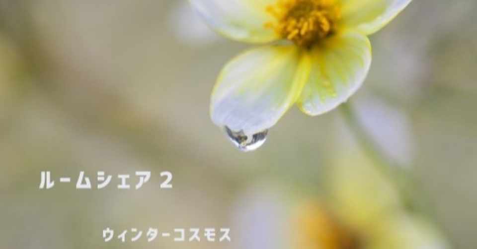 ルームシェア2 ウィンターコスモス 水菜月 Note