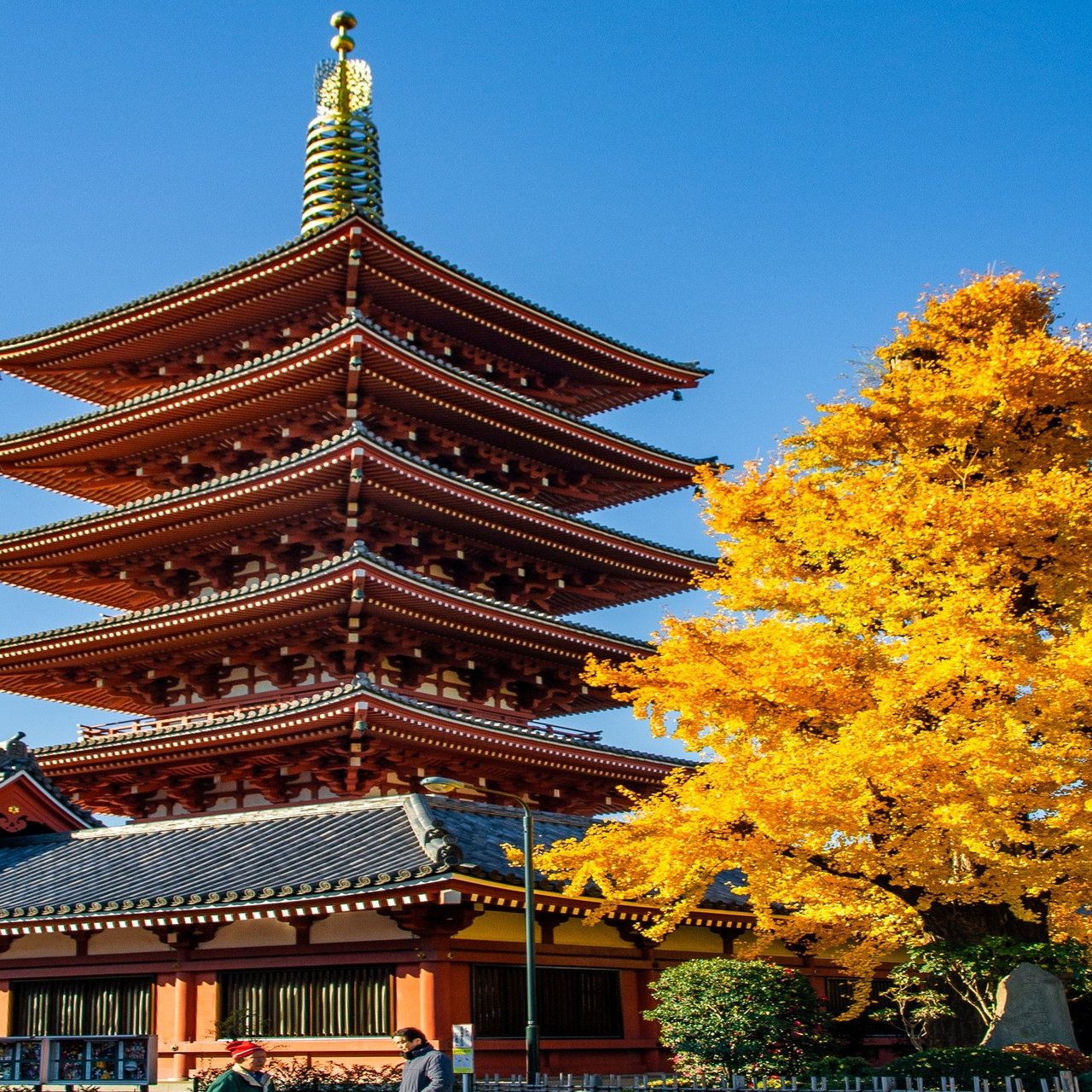 江戸の風情を残す紅葉の 浅草 Zenpaku Note