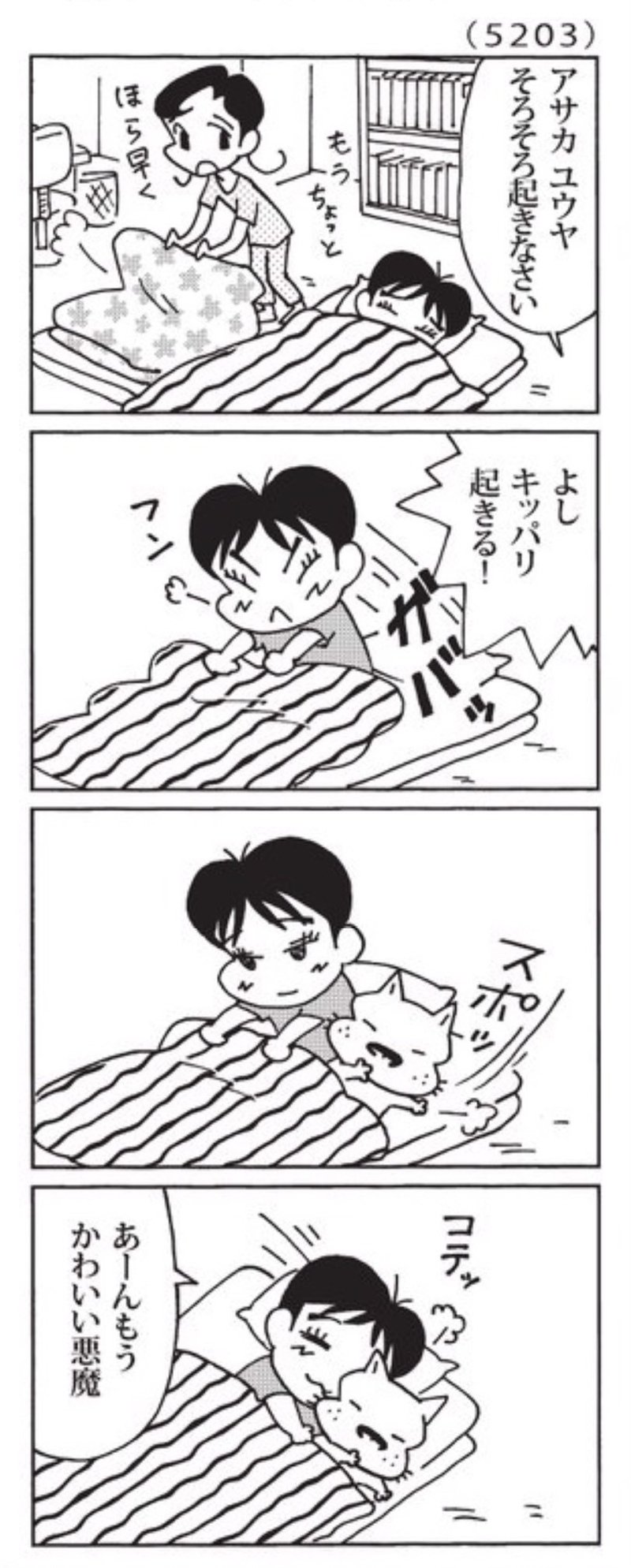 最近の ウチの場合は 10 10 森下裕美公式note ゴマちゃんホンポ Note