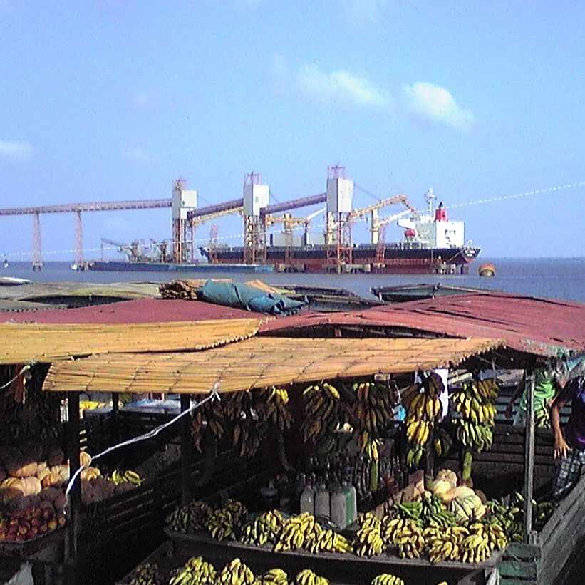 海洋政策・船舶科学　吉野研究室