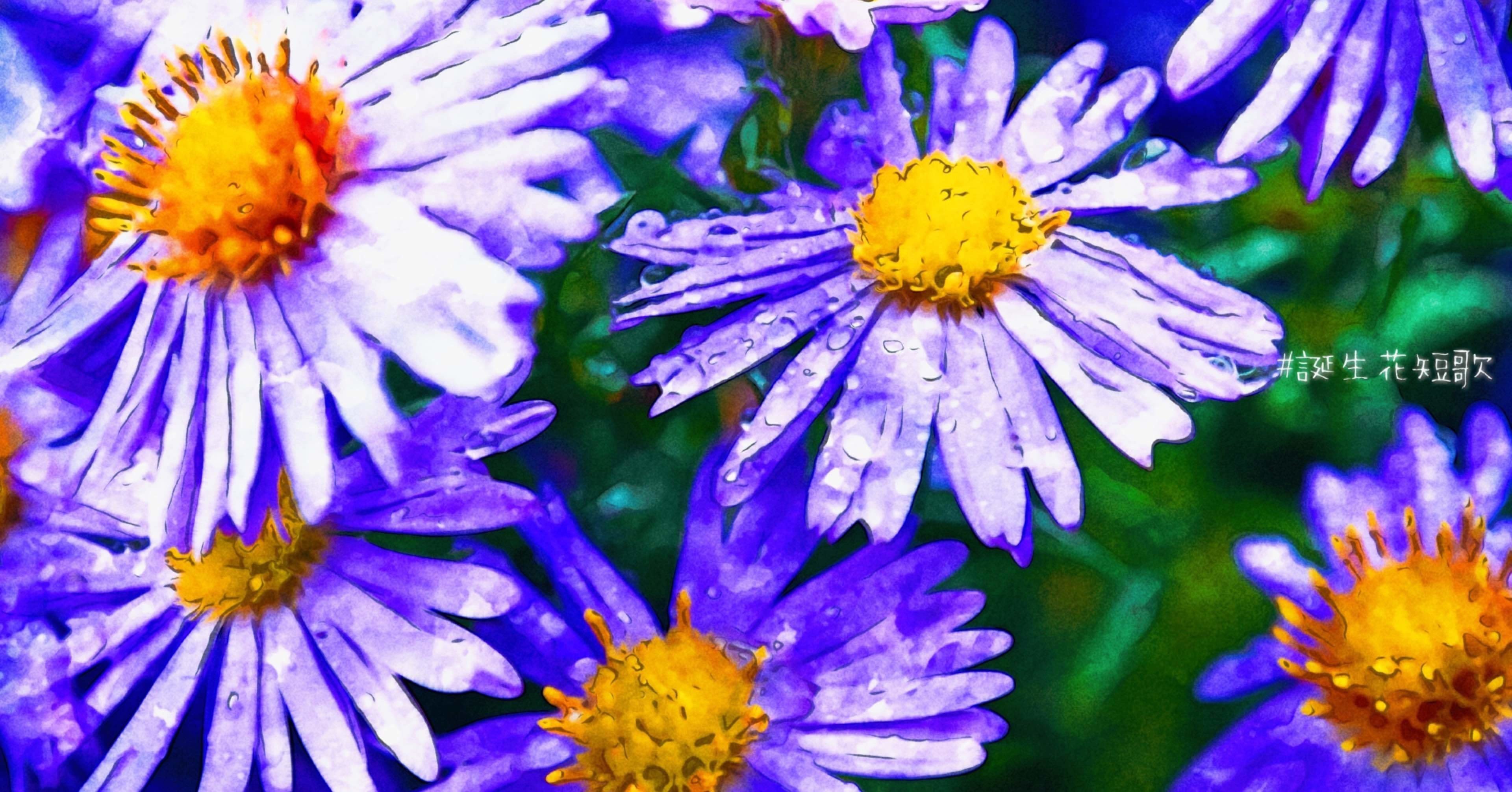 10月14日 誕生花は友禅菊 誕生花短歌 御子柴 流歌 Note