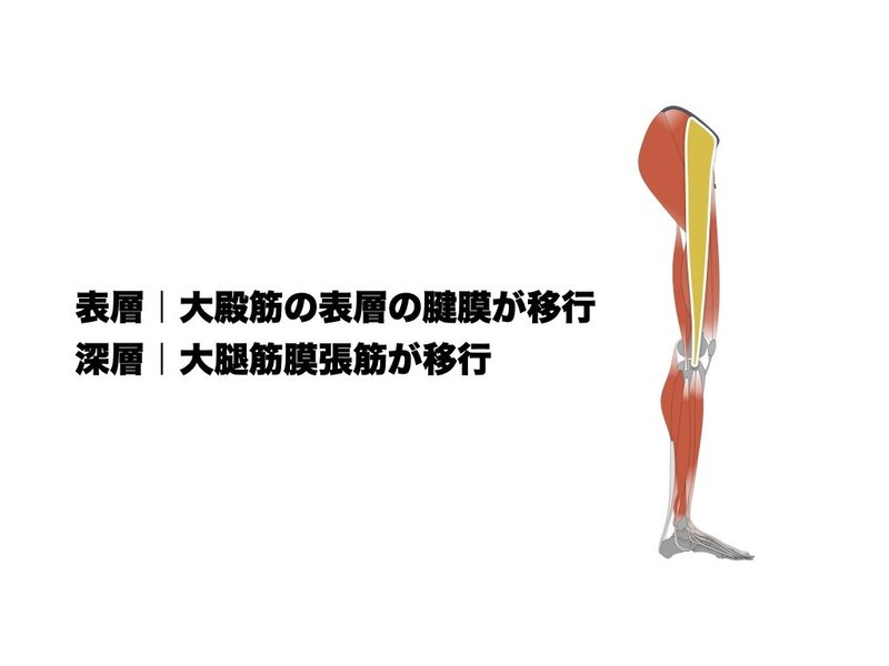 腸脛靭帯タイトネスの改善 平 純一朗 Pt Jspo At Note