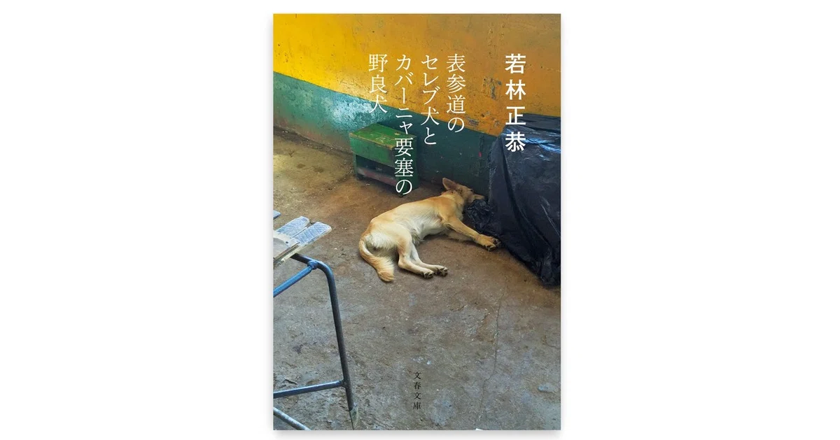 note画像ギャラリー書影_表参道_w