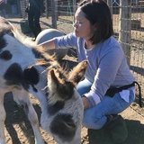 Miki Saito / 動物の行動とトレーニングのコンサルタント