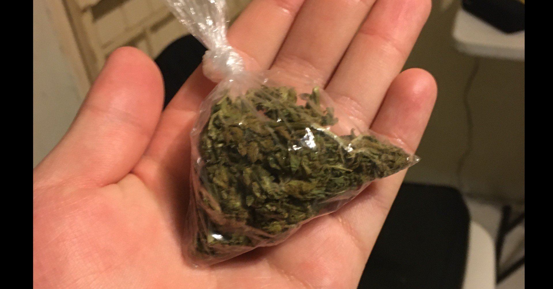 ジャマイカで大麻を吸ったらなんか違った話 1 Fuya Shibata Note ジャマイカで大麻を吸ったらなんか違った話 1 Fuya Shibata Note