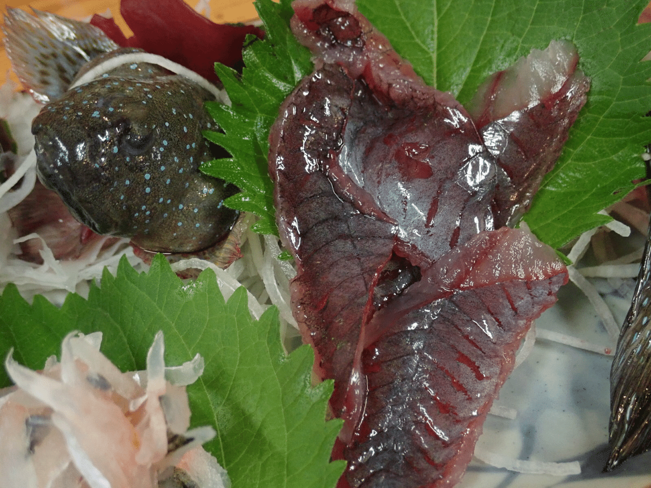 食べ慣れない生き物を食べよう やまざき にんふぇあ Note