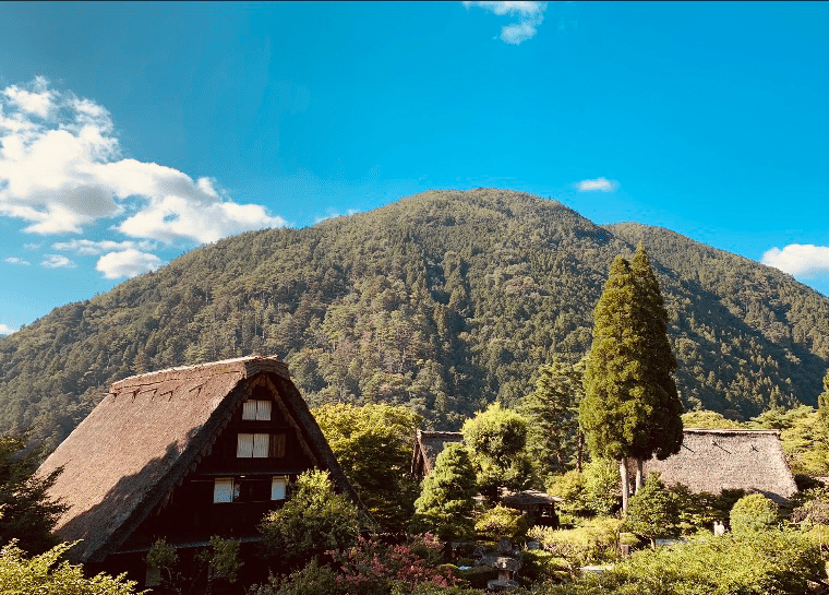 画像13