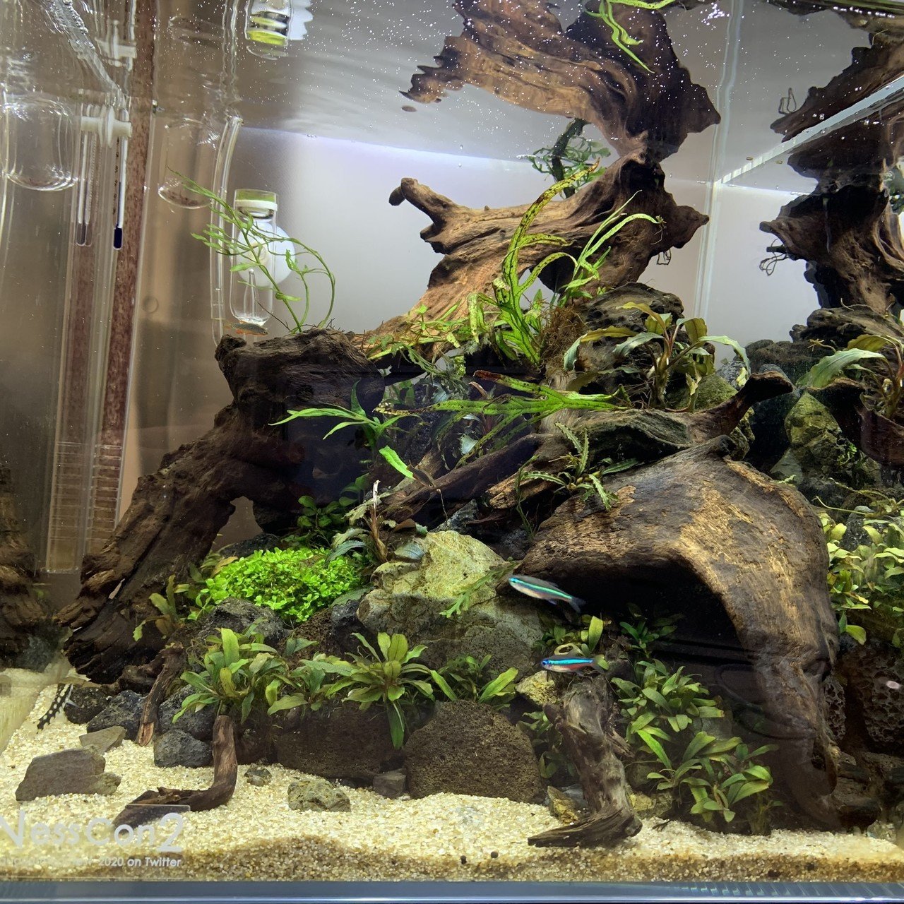 アクアテラリウム 家の中に自然を作りたい Kotatsus Note アクアテラリウム 家の中に自然を作りたい Kotatsus Note