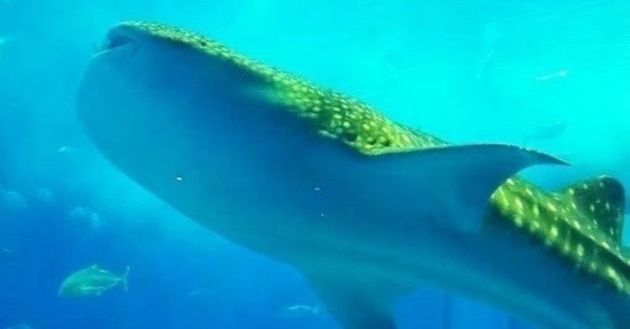 バクチャーの真実は Ruriko Note バクチャーの真実は Ruriko Note