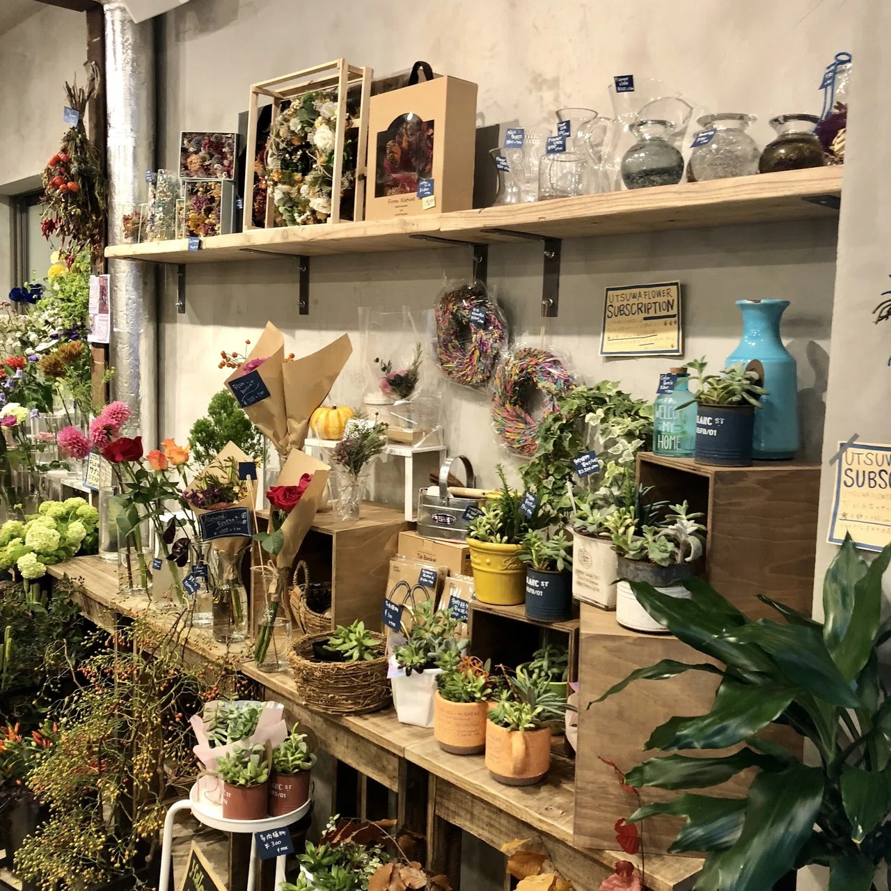 花オタク エリが行ってみた 5 花とコーヒーを同じ目線で楽しんでみる Utsuwa Flower Hanaike はないけ Note 花オタク エリが行ってみた 5 花とコーヒーを同じ目線で楽しんでみる Utsuwa Flower Hanaike はないけ Note