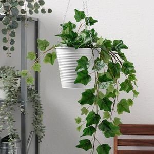 置く だけじゃない 観葉植物の飾り方 Co コプラス Note 置く だけじゃない 観葉植物の飾り方 Co コプラス Note