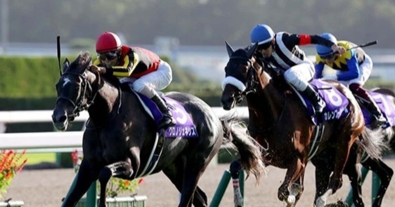 10 17 土曜 アイルランドトロフィー府中牝馬ステークス 出走馬情報 常勝競馬 Note