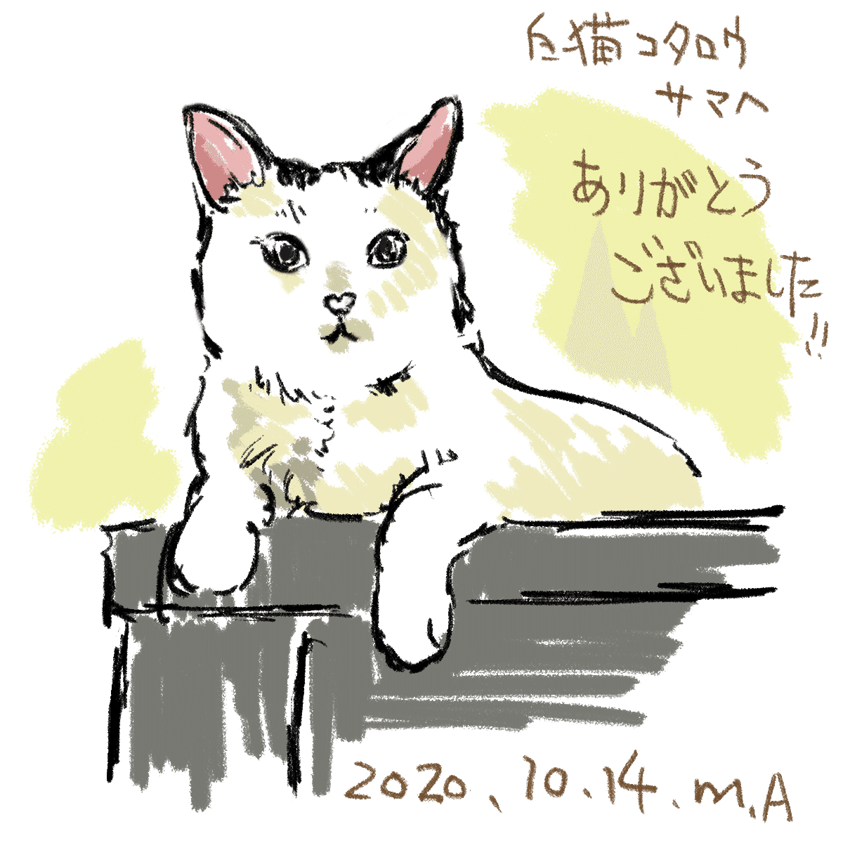 白猫　絵画　イラスト　ドローイング 白猫 絵画 イラスト ドローイング ボールペン画 白猫002【ドローイング