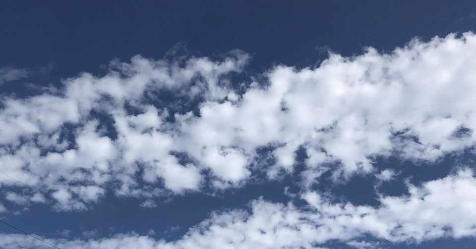 仕事と病気と出会いと別れ Autumn44 Note