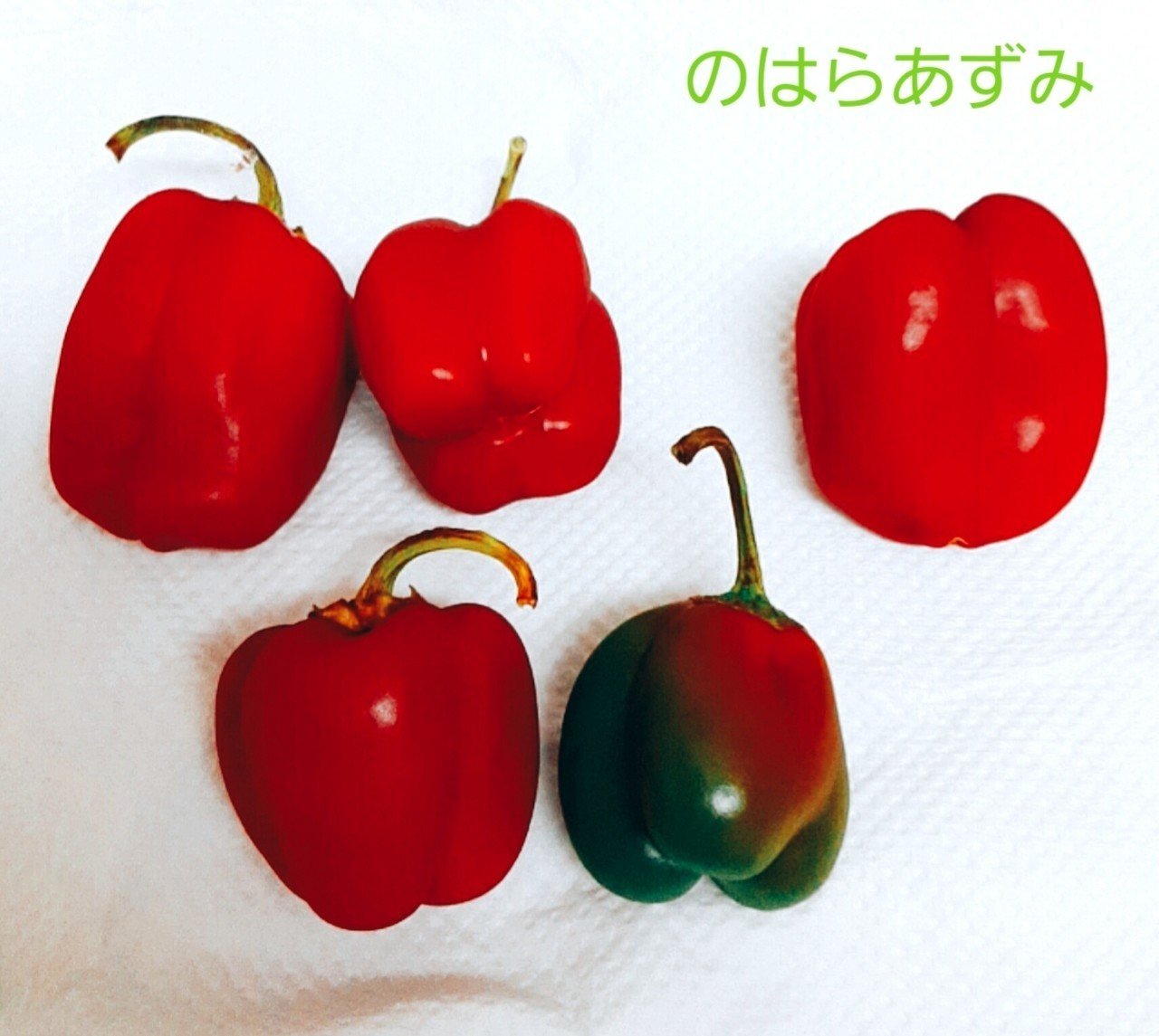 ピーマンのピラフ のはらあずみ Note