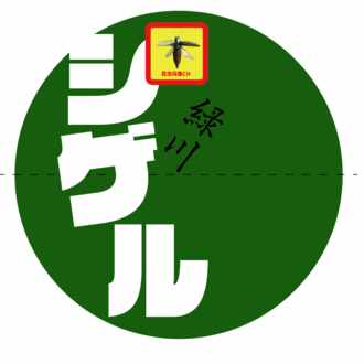 タマムシの飼育について 緑川 シゲル Note