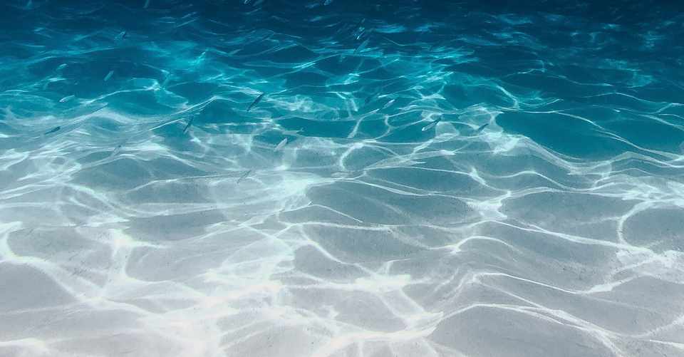 未知の世界が広がる海 海底から隆起したハワイは 地球の心臓部とつながっている Viehula Note