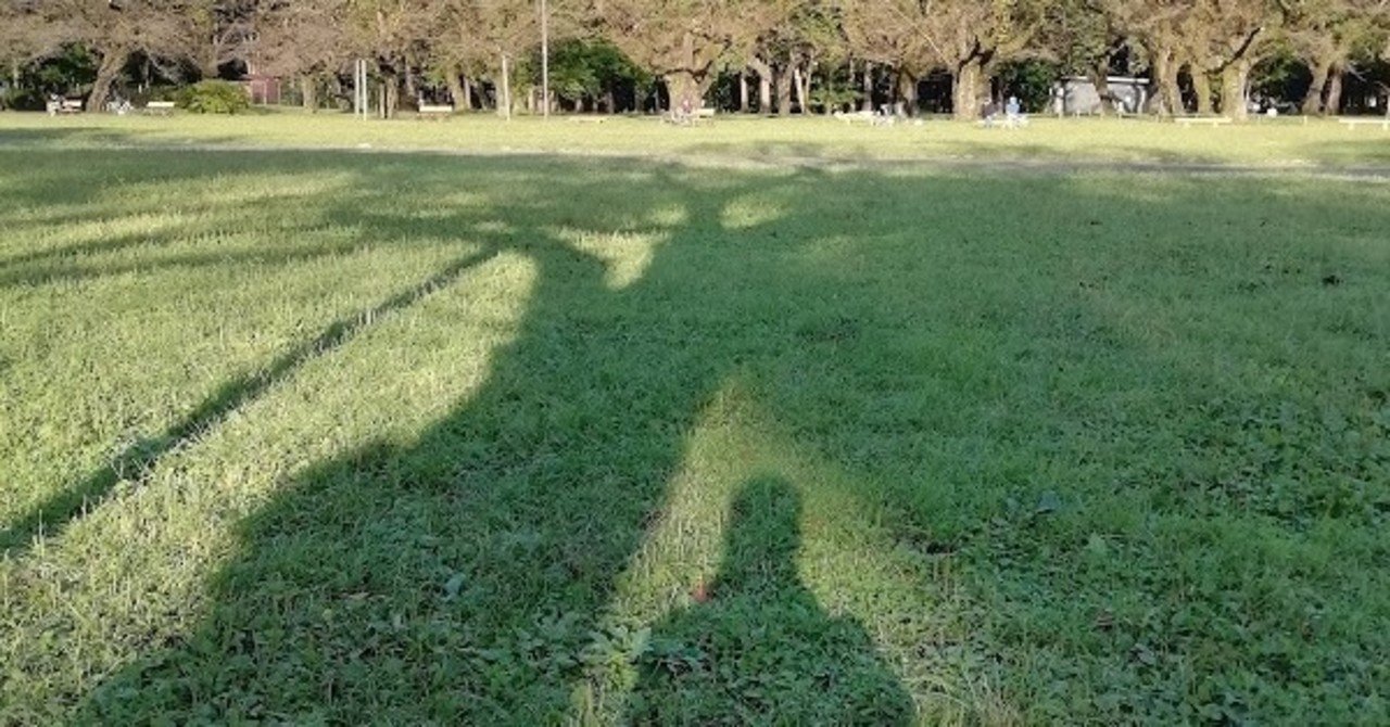 ゼロ次元 -加藤好弘と60年代 | 平田 実 |本 | 通販 | Amazon