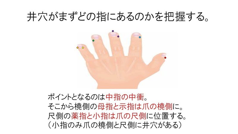 オンライン講義記事 経絡経穴概論 手部編 Yamato 鍼灸師で東洋医学のおにいさん Note