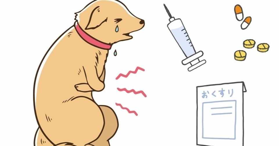 手遅れにならなくてよかった 飼い犬の体調不良 ゆえ ゼロからブログ作成中 Note