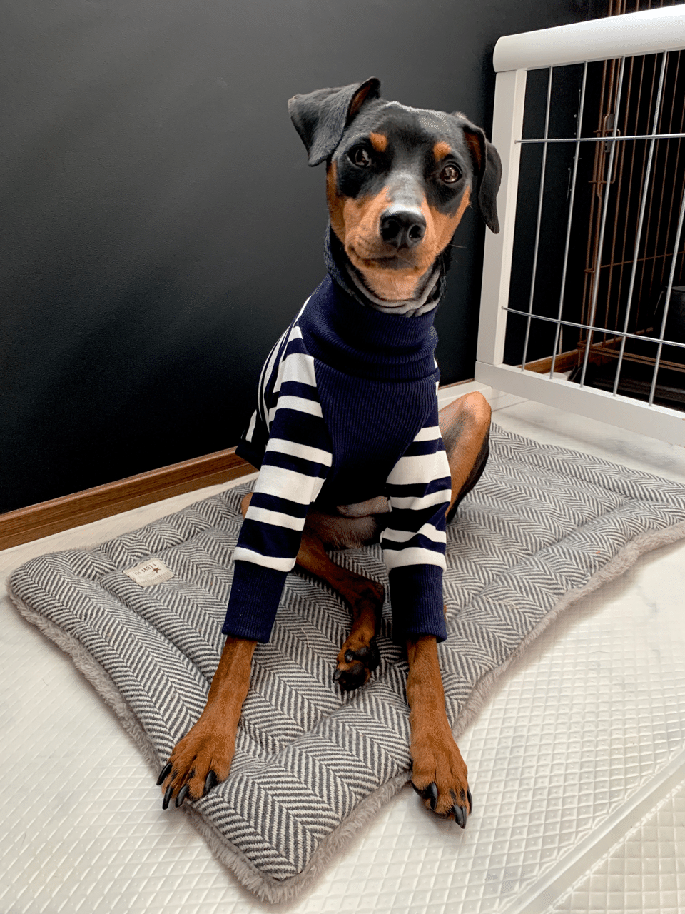 デカピンと呼ばれる7 6kg 赤髪デザイナー社長moekoosawa Note