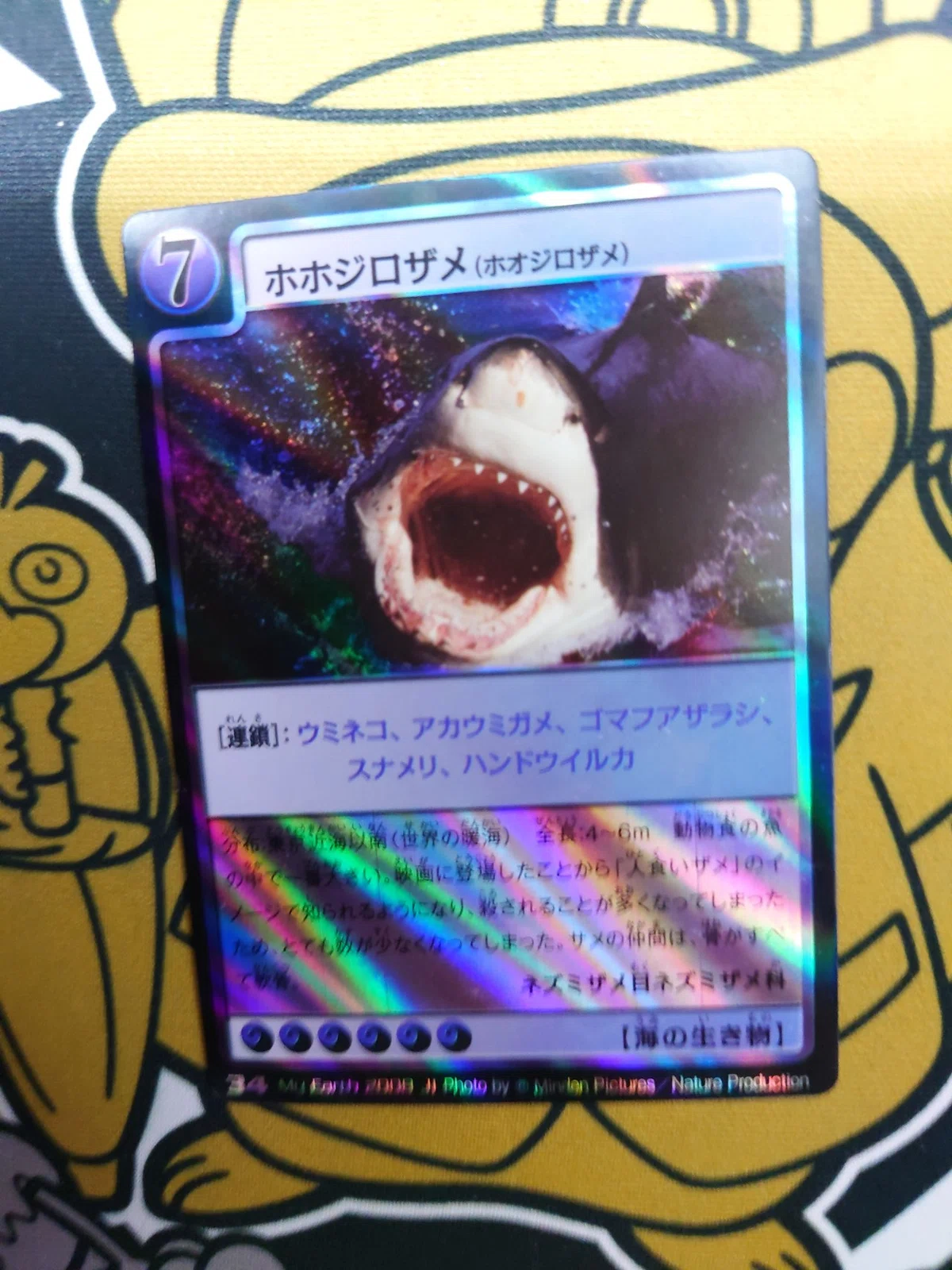 TCG紹介：マイアース｜名もなき人