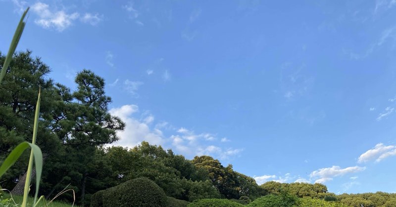 代々木公園の夕陽 E D D I E 代々木八幡 代々木公園 高岡 秀和 美容室 Note 代々木公園の夕陽 E D D I E 代々木八幡 代々木公園 高岡 秀和 美容室 Note