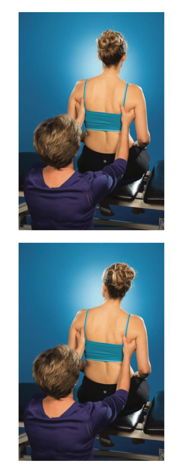 論文抄読】Diane Lee,Biomechanics of the thorax – research