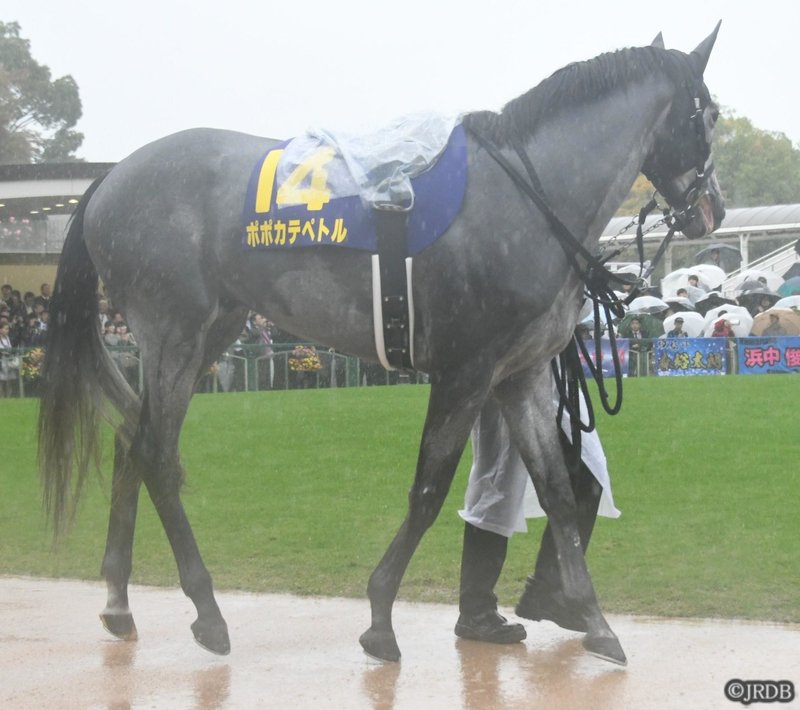 菊花賞過去5年傾向 外厩 指数 パドック Jrdb 競馬アラカルト Note