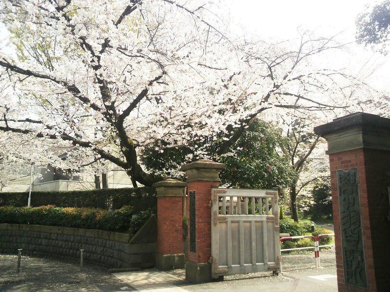 幼稚園受験 学習院幼稚園 願書の書き方 例文 面接のポイント 質問内容 絶対合格 お受験情報 Note