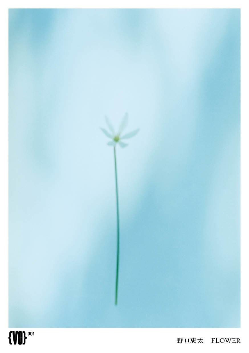 野口恵太　FLOWER 野口恵太 FLOWER
