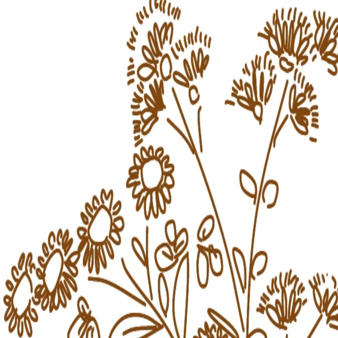 シンプルイラスト Noteヘッダー画像素材 小菊 Atelier Hanami Note
