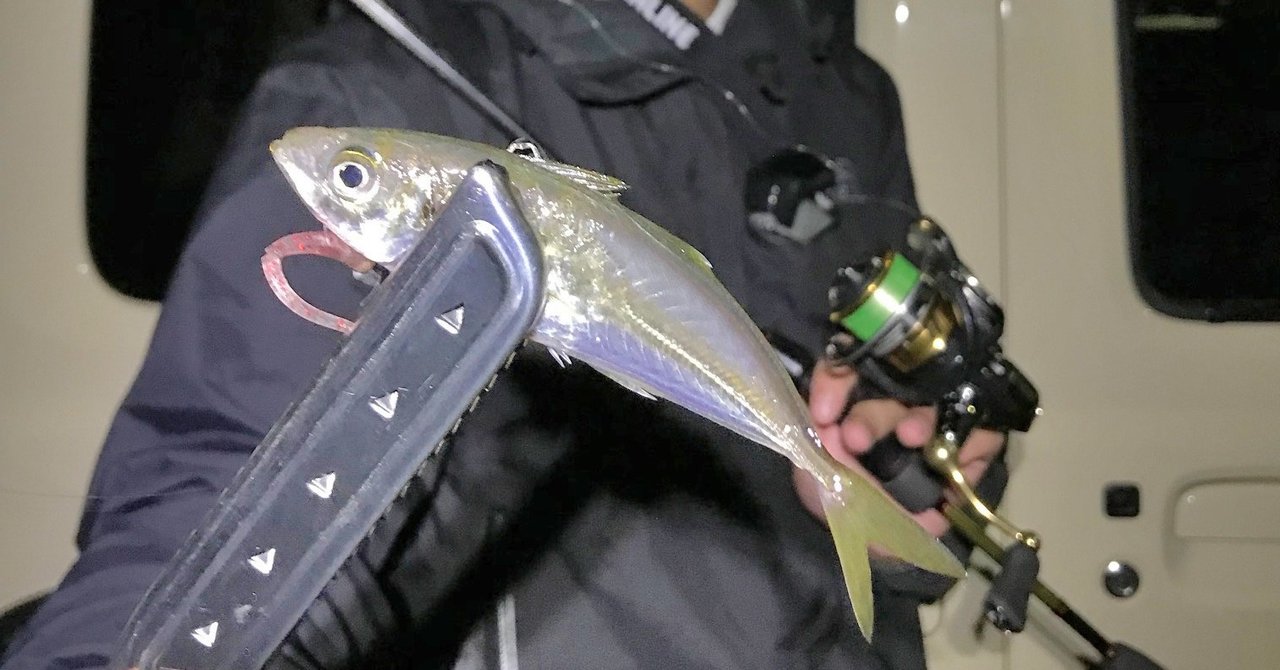 アジを求めて牡鹿半島 メバルの数釣りは好調 石巻days 未来都市の生き方 Note アジを求めて牡鹿半島 メバルの数釣りは好調 石巻days 未来都市の生き方 Note