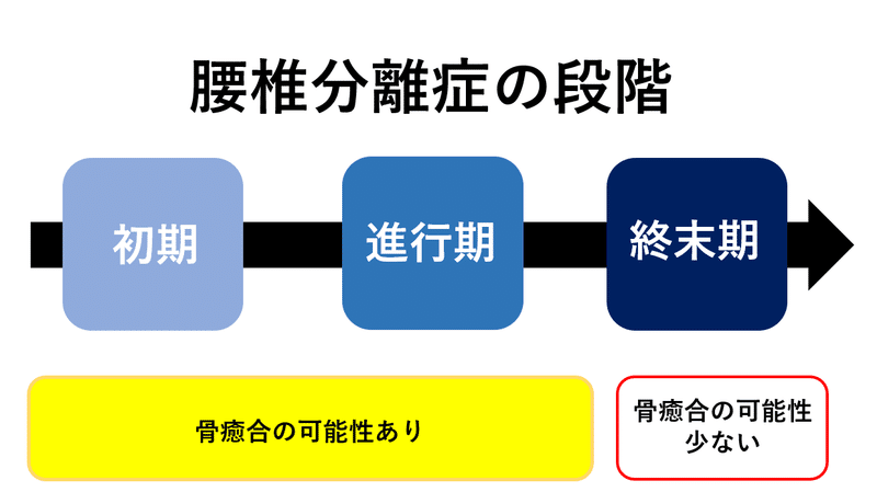 腰椎分離症の予防ストレッチ トレーニング L Fit Note