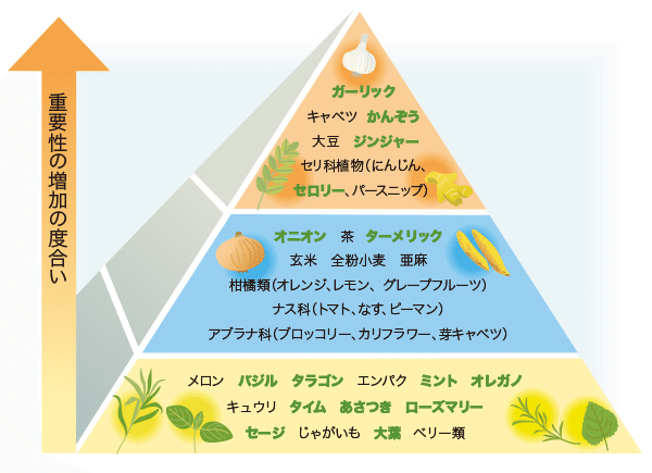 ハーブをグループ分けすると ３大勢力とは ハーブおじさん Note