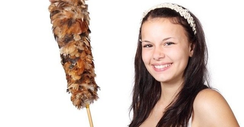 家事分担で揉めるかも と思いながら結婚したけど そうでもなかった おぐ Note