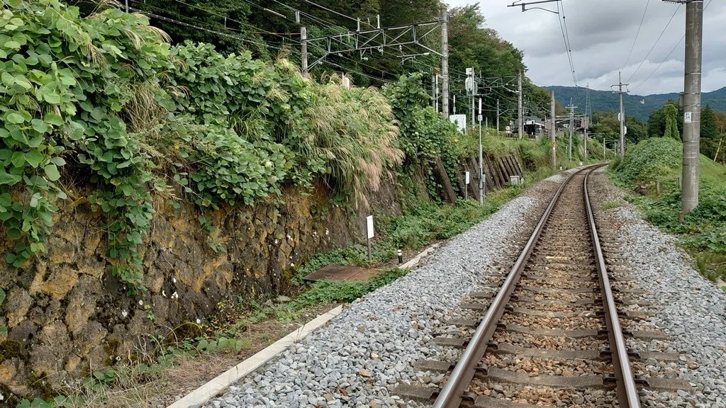 画像10