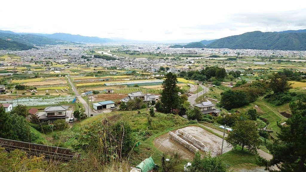 画像23