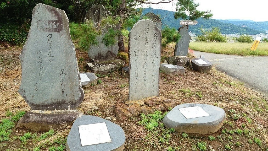 画像27