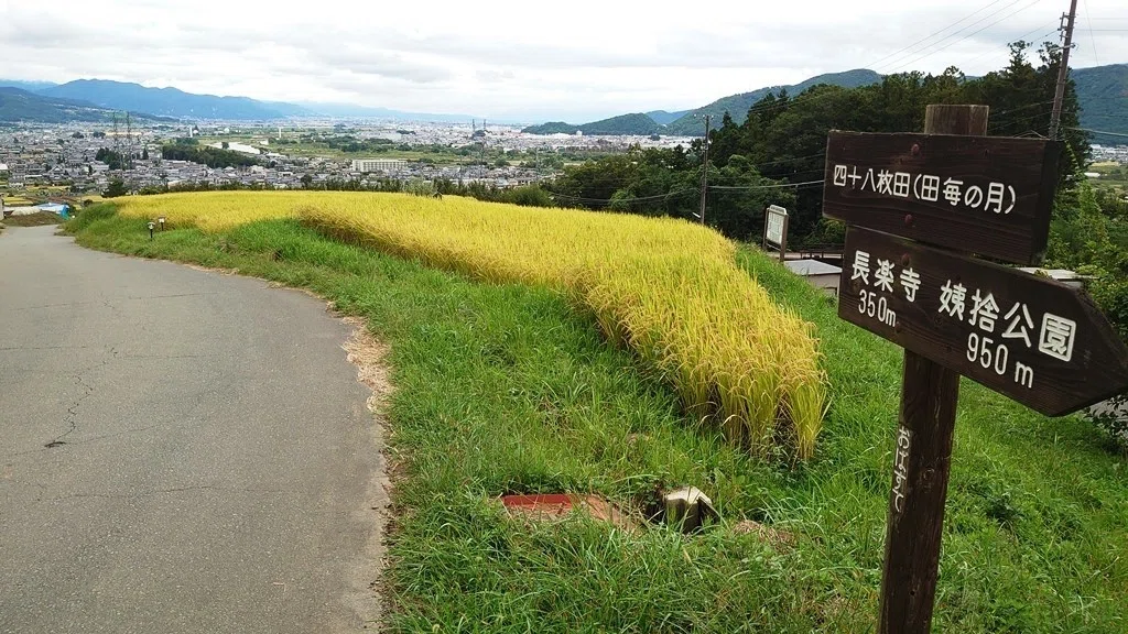 画像28