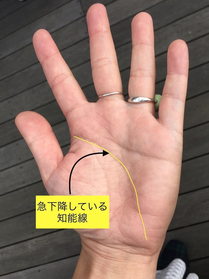 夢みるロマンティストは知能線が長い 手相占い藍 Note