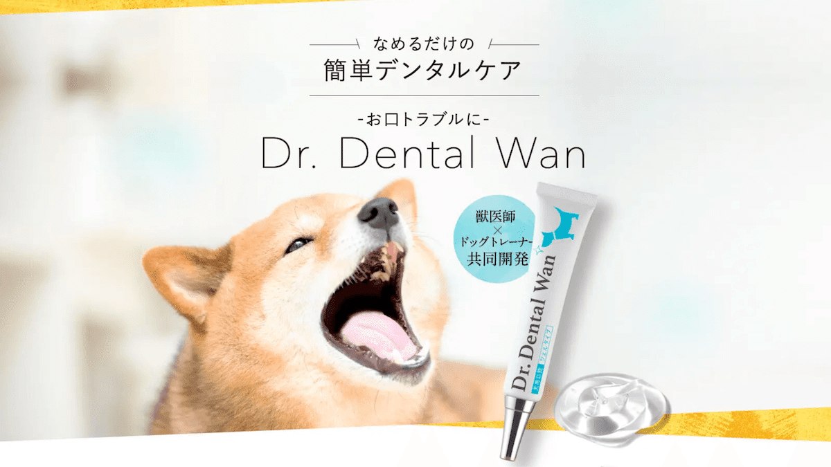 Dr. Dental Wan ドクターデンタルワン歯磨きジェル 30g4本セット 楽天