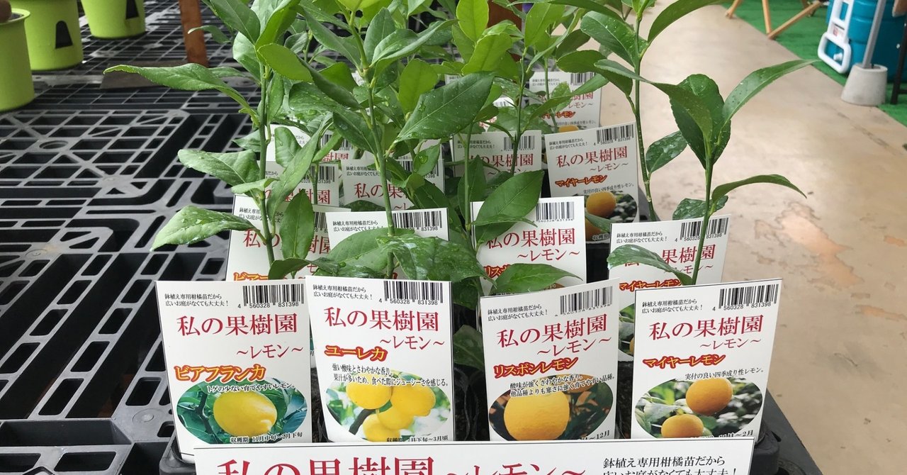 レモンの栽培 飯野 修 Note