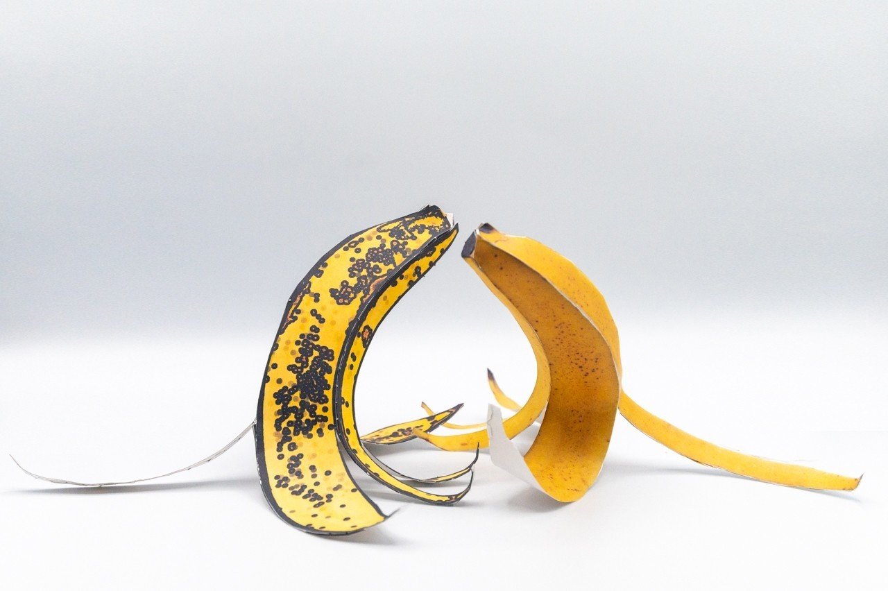 中身は空っぽのバナナ。 (展開図20)｜ぷらいまり。