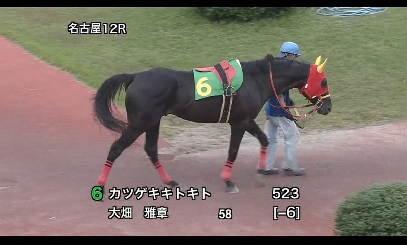 名古屋競馬　トルマリンオープン2020　カツゲキキトキト