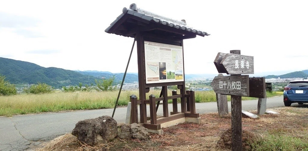 画像31
