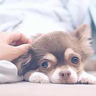 椎間板ヘルニア の新着タグ記事一覧 Note つくる つながる とどける