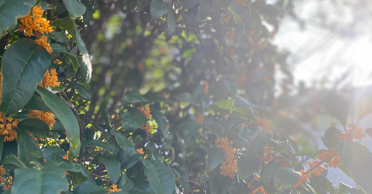 検便 の新着タグ記事一覧 Note つくる つながる とどける