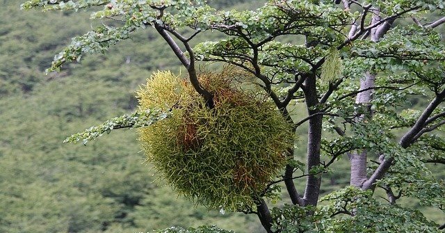 9942f3553799e1292a2b78c35a131f