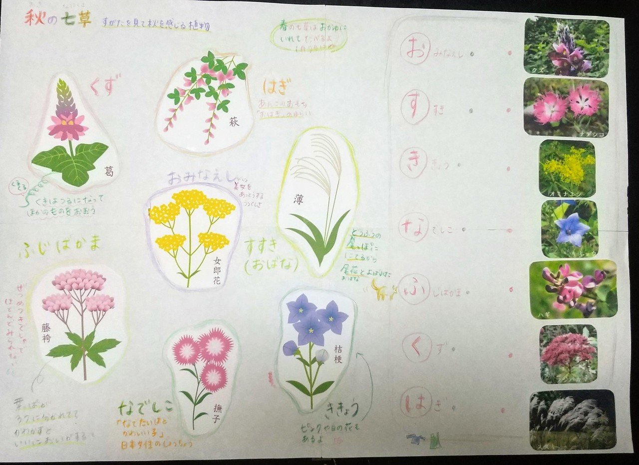 子供に教えられたらいいなと図鑑 を眺めていたら 盛り上がって自由研究を始めてしまう真夜中 楽しい 秋の七草 知ってました 私は知りませんでした 秋といっても旧暦だから8 10月にさかりを迎える植物が多い ミカジロウ Note 子供に教えられたらいいなと図鑑 を眺めていたら 盛り上がって自由研究を始めてしまう真夜中 楽しい 秋の七草 知ってました 私は知りませんでした 秋といっても旧暦だから8 10月にさかりを迎える植物が多い ミカジロウ Note